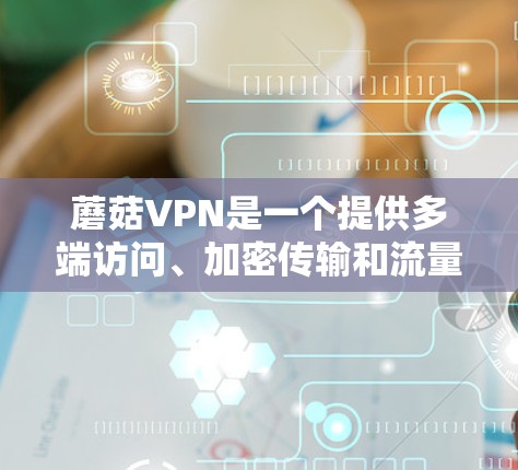 蘑菇VPN是一个提供多端访问、加密传输和流量控制功能的网络服务，旨在为用户提供安全、便捷的网络连接。以下是对蘑菇VPN功能的详细介绍