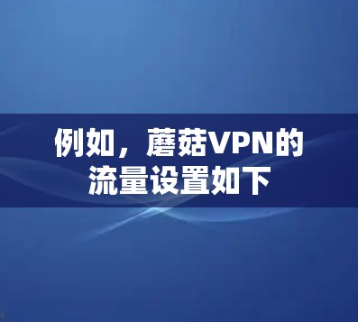 例如，蘑菇VPN的流量设置如下