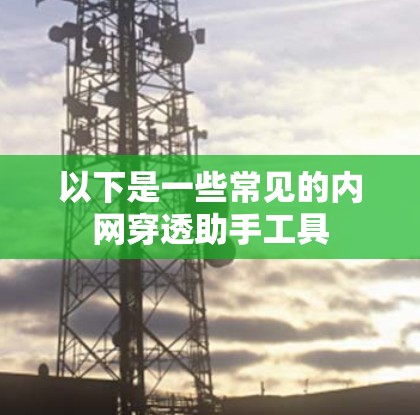 以下是一些常见的内网穿透助手工具
