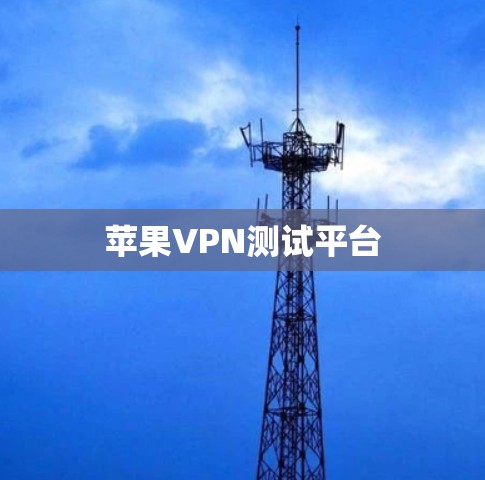 苹果VPN测试平台